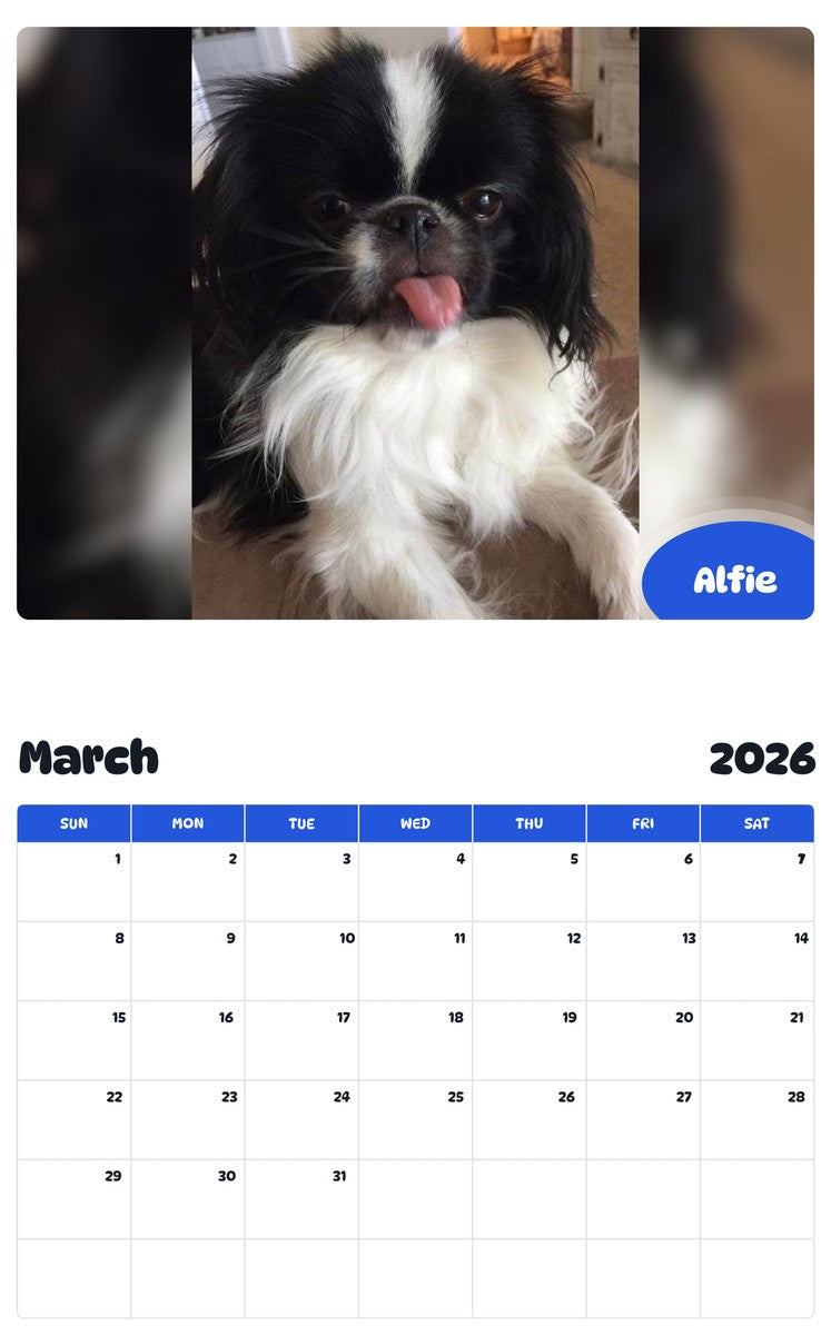 November 2025 - October 2026 Alfie - Pawidols Pet Calendar