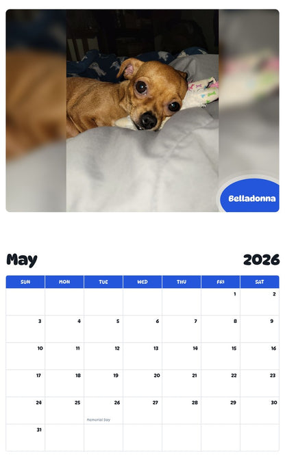 2026 - 2027 Belladonna - Pawidols Pet Calendar