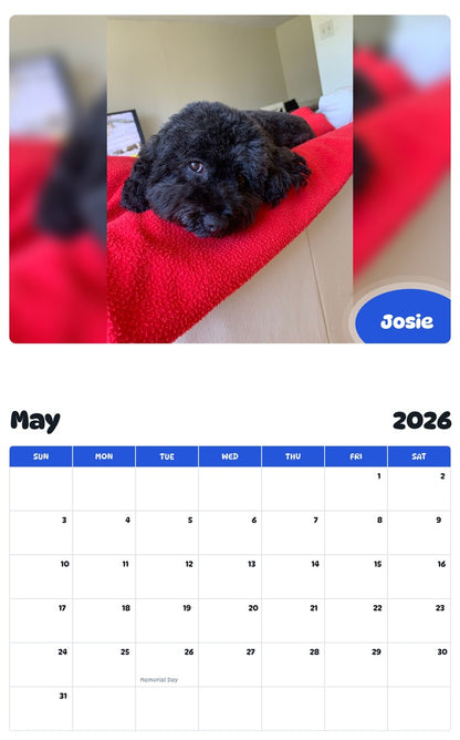2026 - 2027 Josie - Pawidols Pet Calendar