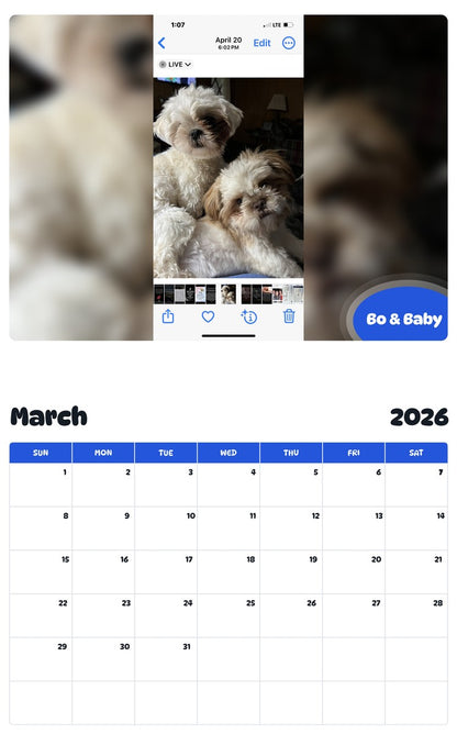 November 2025 - October 2026 Bo & Baby - Pawidols Pet Calendar