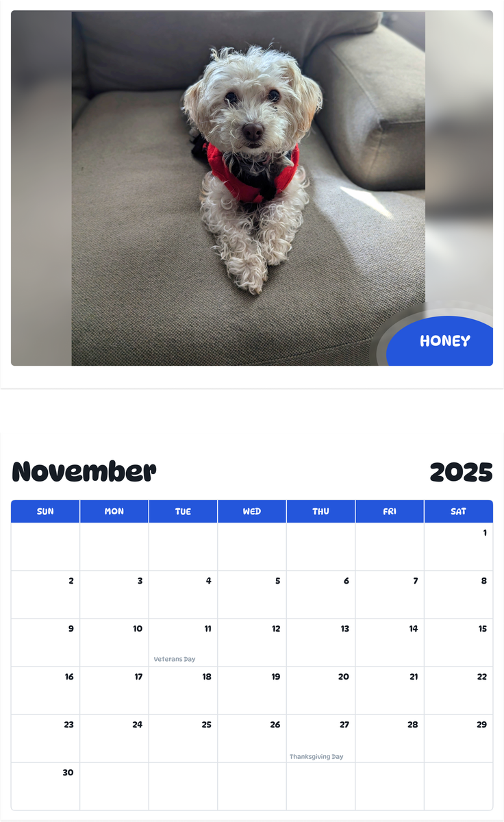 July 2025 - June 2026 Honey - Pawidols Pet Calendar
