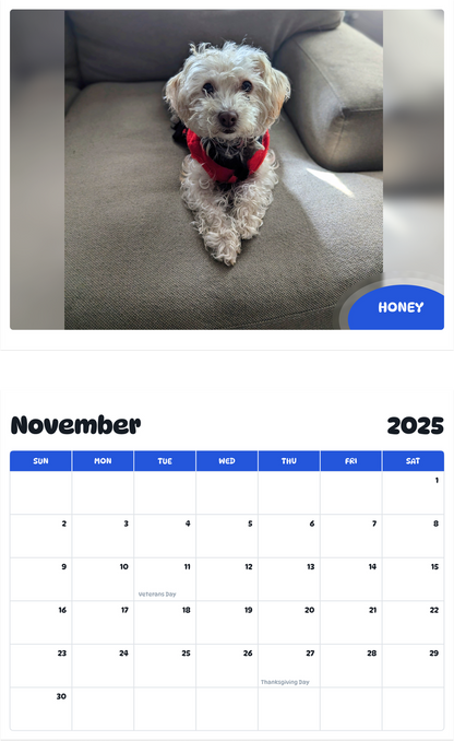 July 2025 - June 2026 Honey - Pawidols Pet Calendar