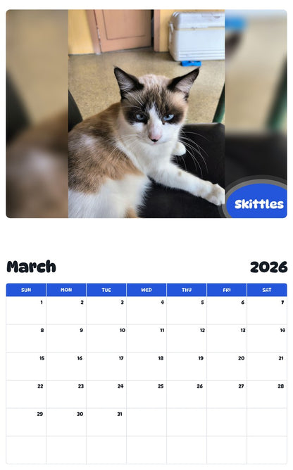 November 2025 - October 2026 Skittles - Pawidols Pet Calendar