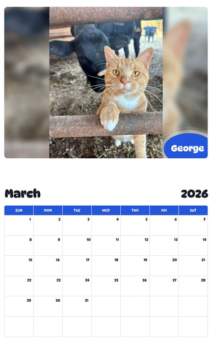 November 2025 - October 2026 George - Pawidols Pet Calendar