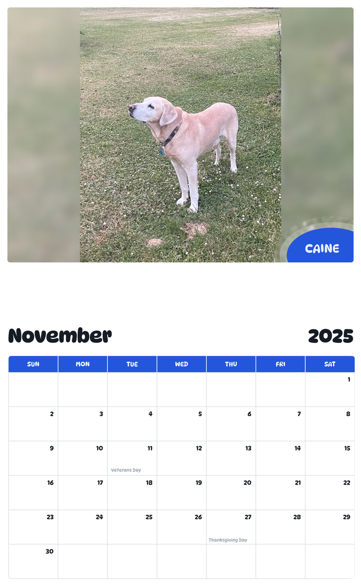 July 2025 - June 2026 Caine - Pawidols Pet Calendar