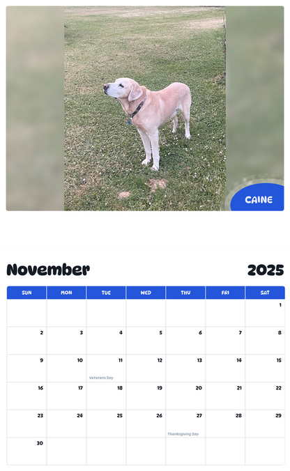 July 2025 - June 2026 Caine - Pawidols Pet Calendar