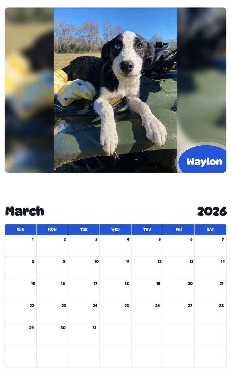 November 2025 - October 2026 Waylon - Pawidols Pet Calendar