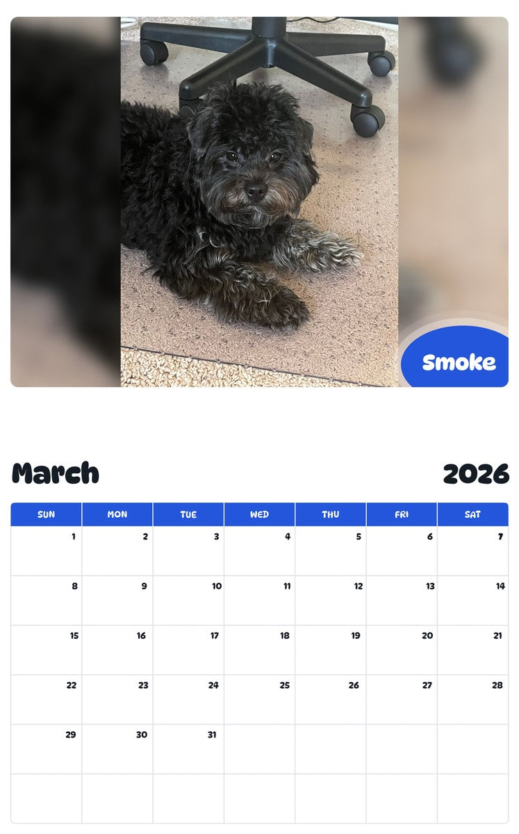 November 2025 - October 2026 Smoke - Pawidols Pet Calendar