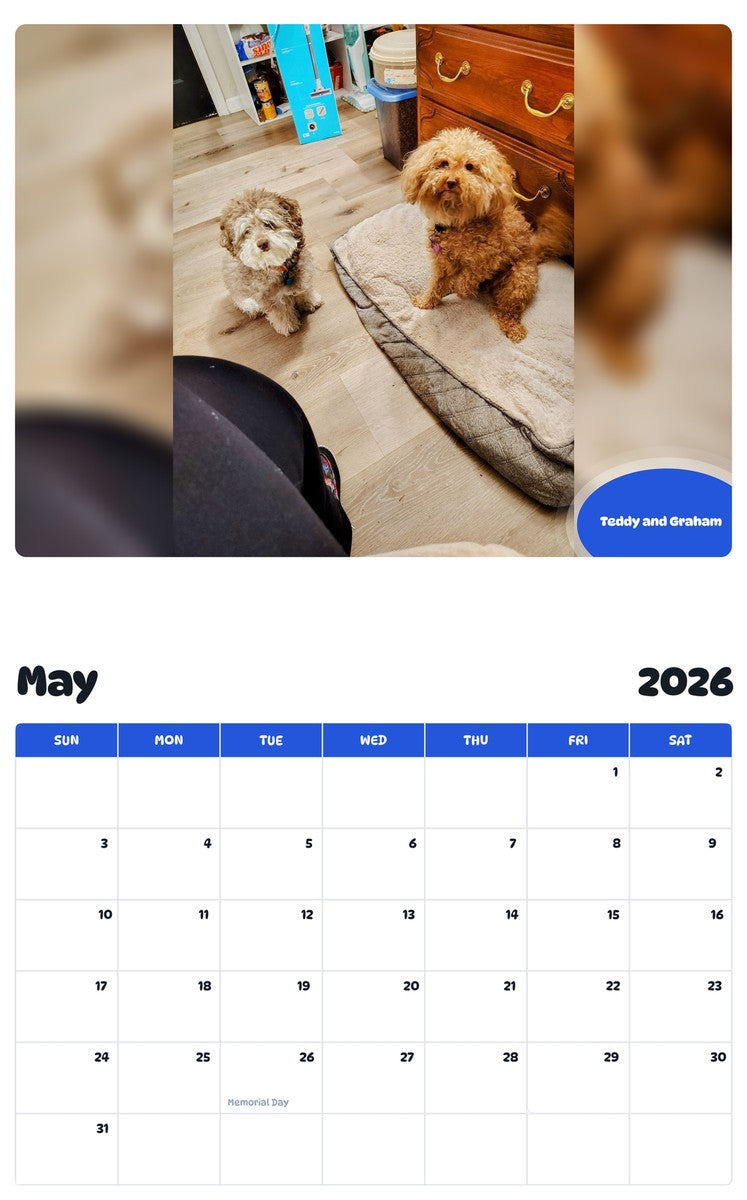 2026 - 2027 Teddy and Graham - Pawidols Pet Calendar