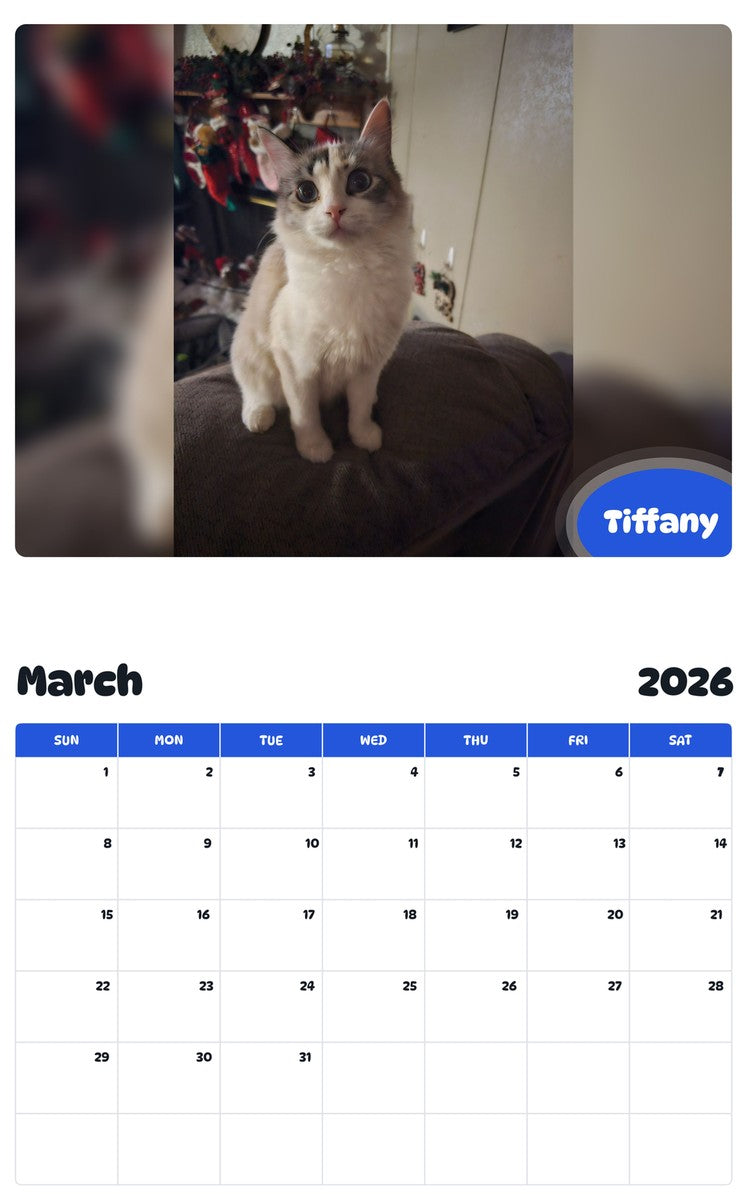 November 2025 - October 2026 Tiffany - Pawidols Pet Calendar