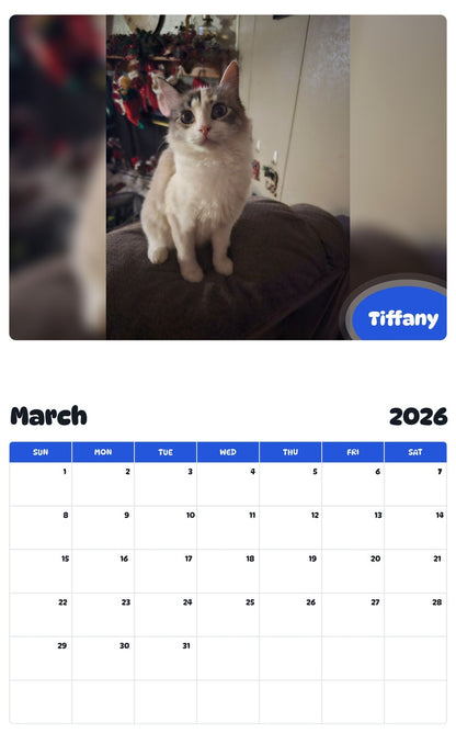 November 2025 - October 2026 Tiffany - Pawidols Pet Calendar