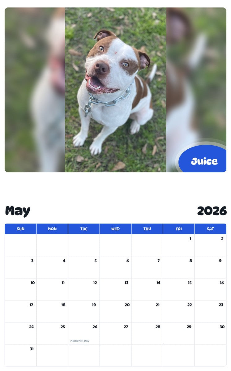 2026 - 2027 Juice - Pawidols Pet Calendar