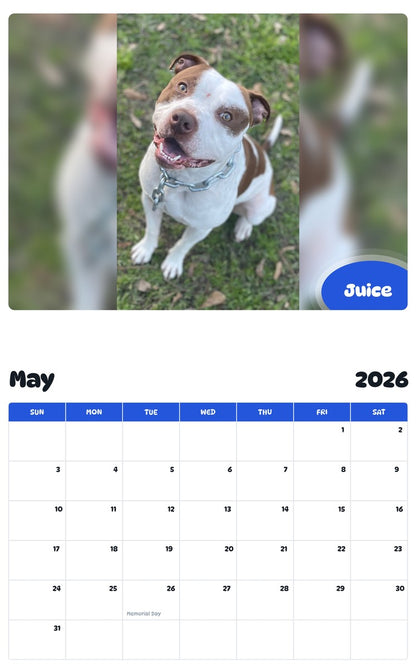 2026 - 2027 Juice - Pawidols Pet Calendar