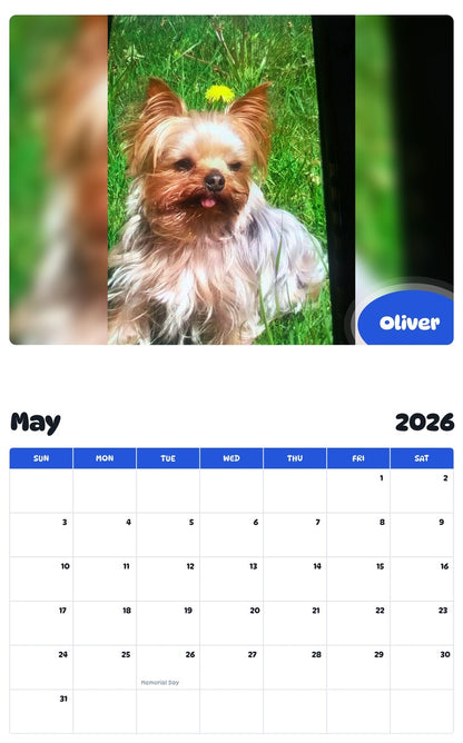 2026 - 2027 Oliver - Pawidols Pet Calendar