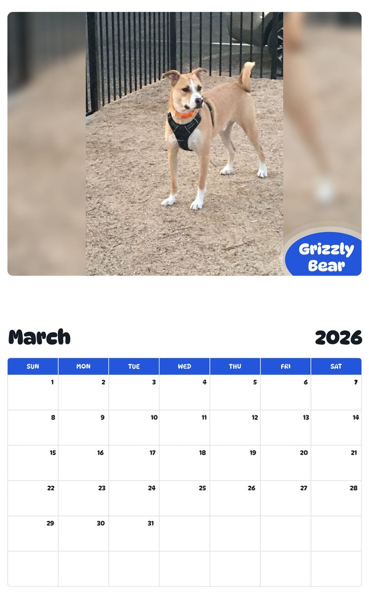 November 2025 - October 2026 Grizzly Bear - Pawidols Pet Calendar