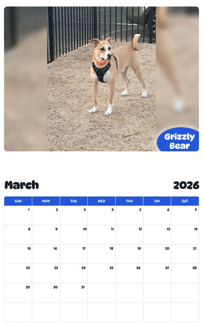 November 2025 - October 2026 Grizzly Bear - Pawidols Pet Calendar