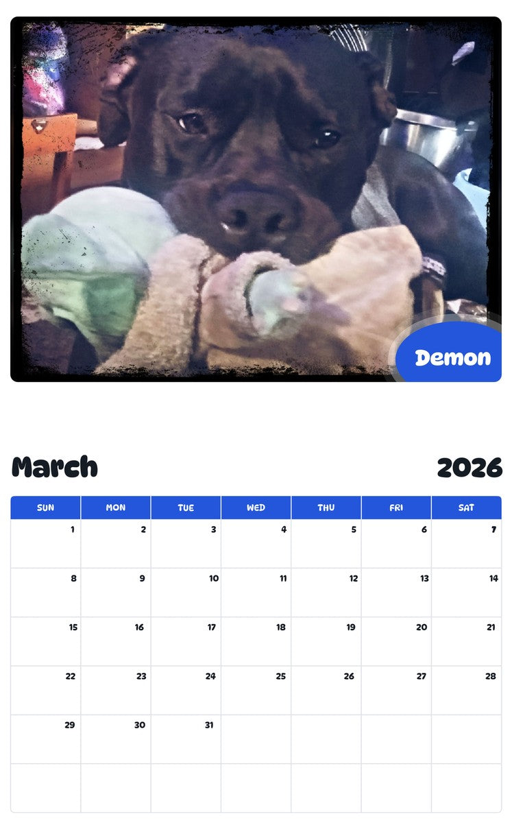 November 2025 - October 2026 Demon - Pawidols Pet Calendar
