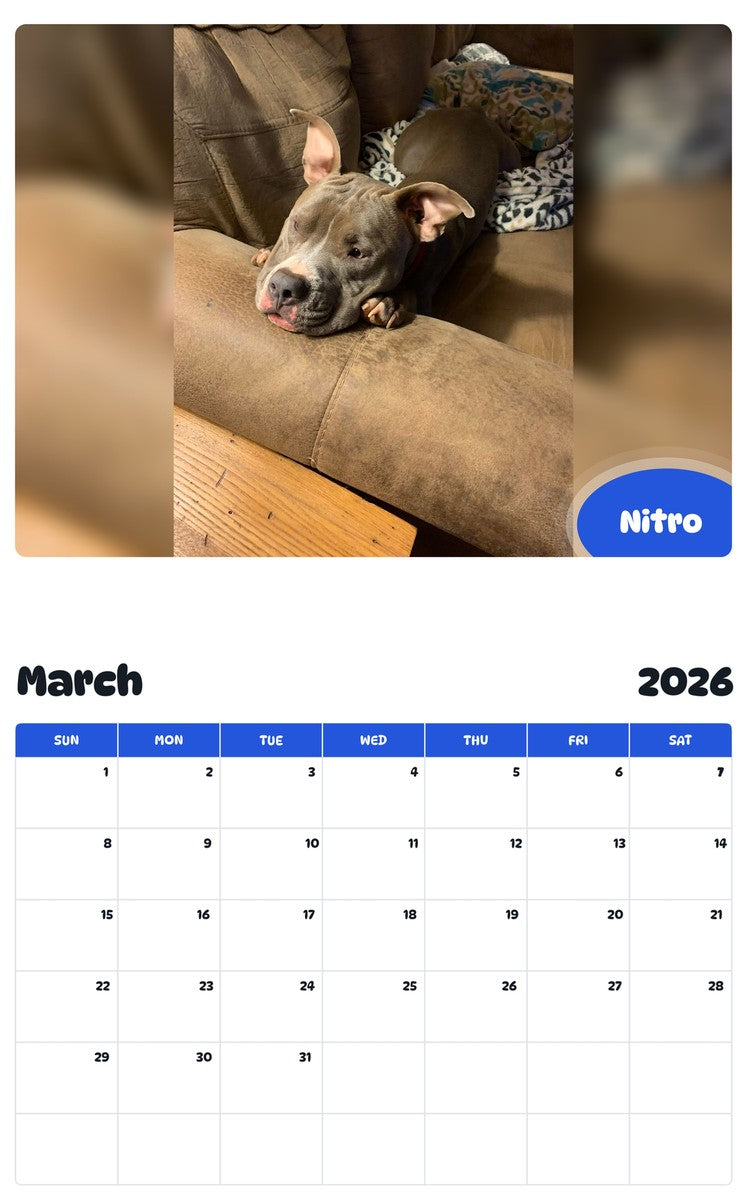 November 2025 - October 2026 Nitro - Pawidols Pet Calendar