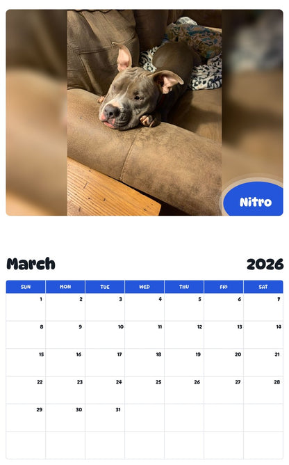 November 2025 - October 2026 Nitro - Pawidols Pet Calendar