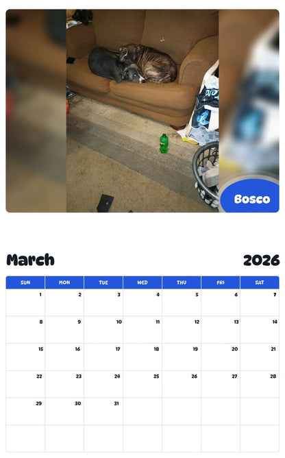 November 2025 - October 2026 Bosco - Pawidols Pet Calendar