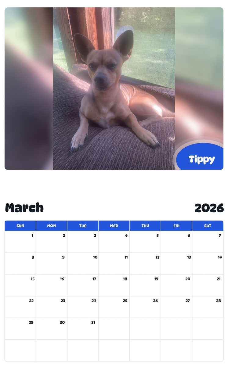 November 2025 - October 2026 Tippy - Pawidols Pet Calendar