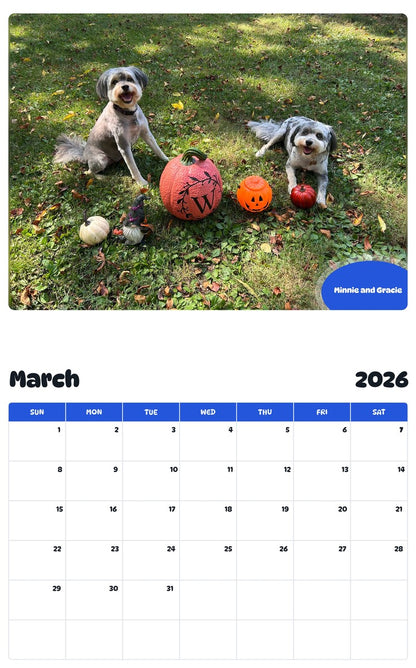 November 2025 - October 2026 Minnie and Gracie - Pawidols Pet Calendar