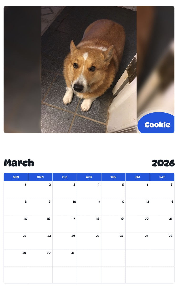 November 2025 - October 2026 Cookie - Pawidols Pet Calendar