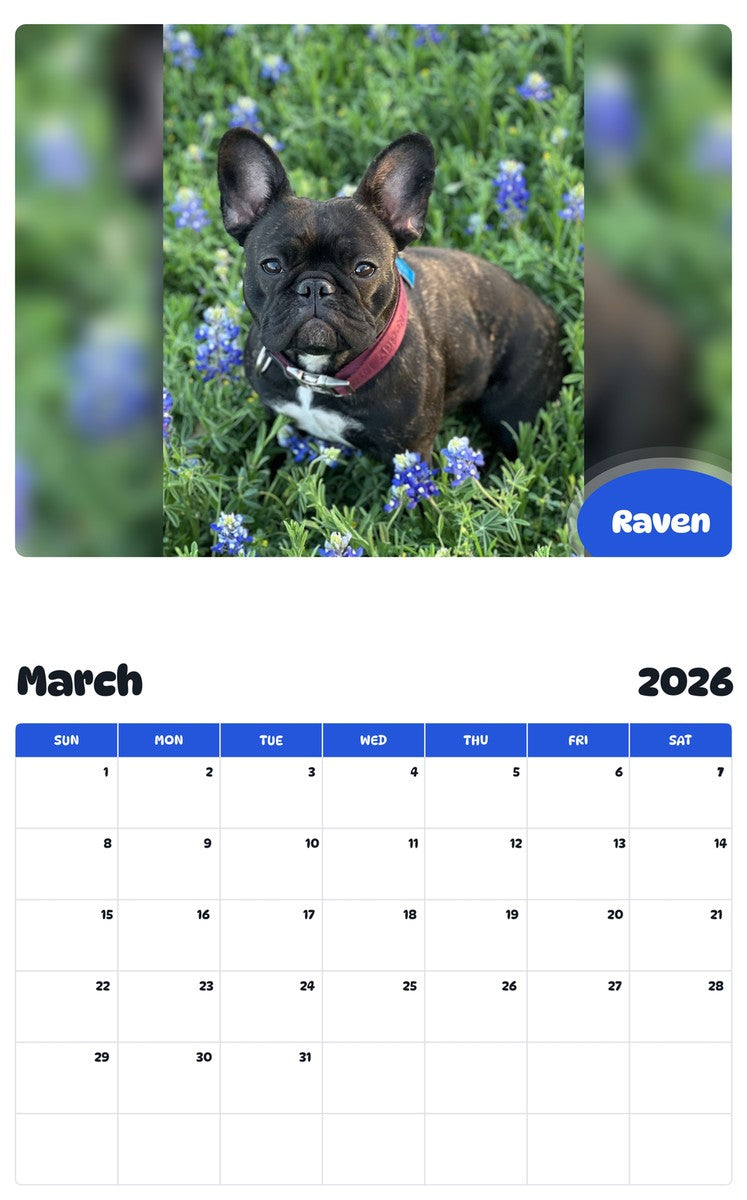 November 2025 - October 2026 Raven - Pawidols Pet Calendar