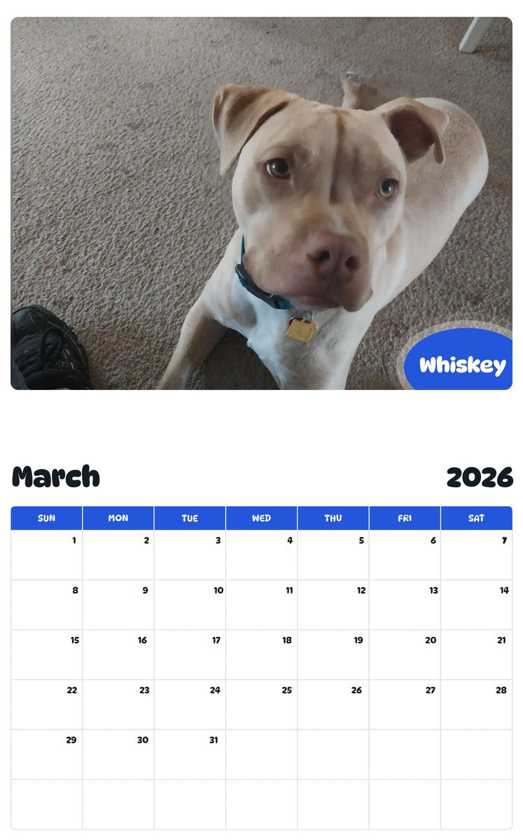 November 2025 - October 2026 Whiskey - Pawidols Pet Calendar
