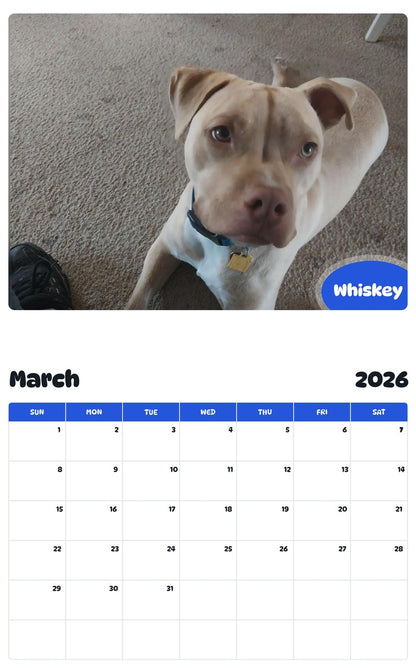 November 2025 - October 2026 Whiskey - Pawidols Pet Calendar