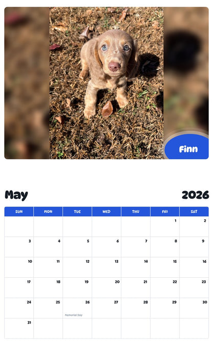 2026 - 2027 Finn - Pawidols Pet Calendar