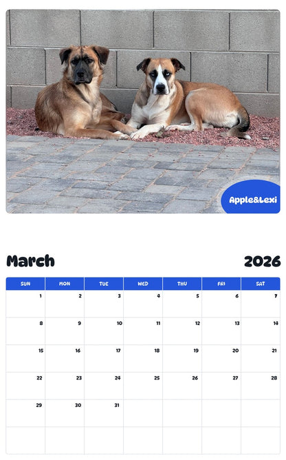 November 2025 - October 2026 Apple&Lexi - Pawidols Pet Calendar