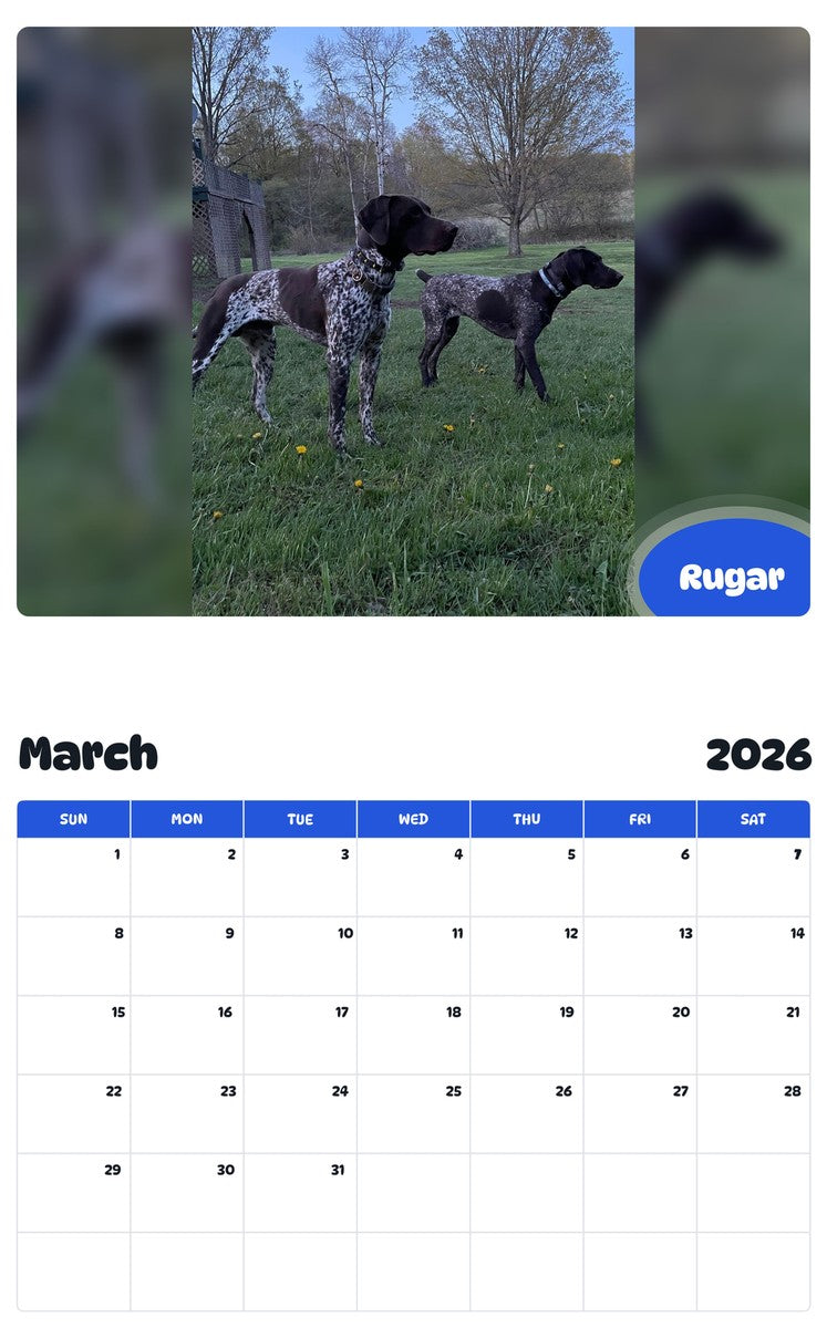 November 2025 - October 2026 Rugar - Pawidols Pet Calendar
