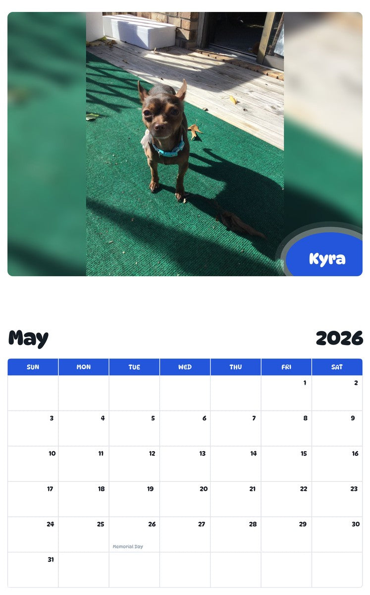 2026 - 2027 Kyra - Pawidols Pet Calendar