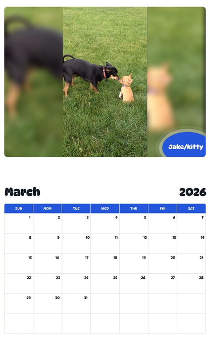 November 2025 - October 2026 Jake/kitty - Pawidols Pet Calendar
