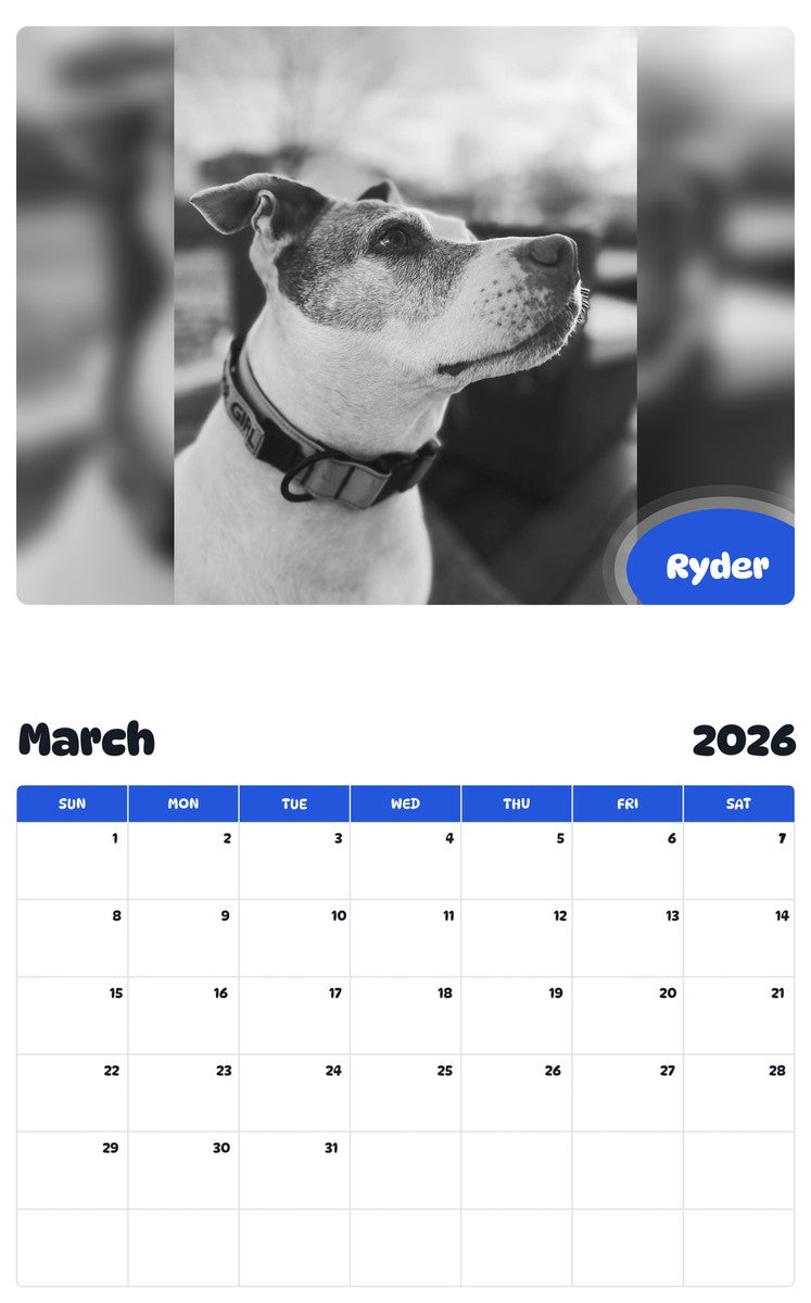 November 2025 - October 2026 Ryder - Pawidols Pet Calendar