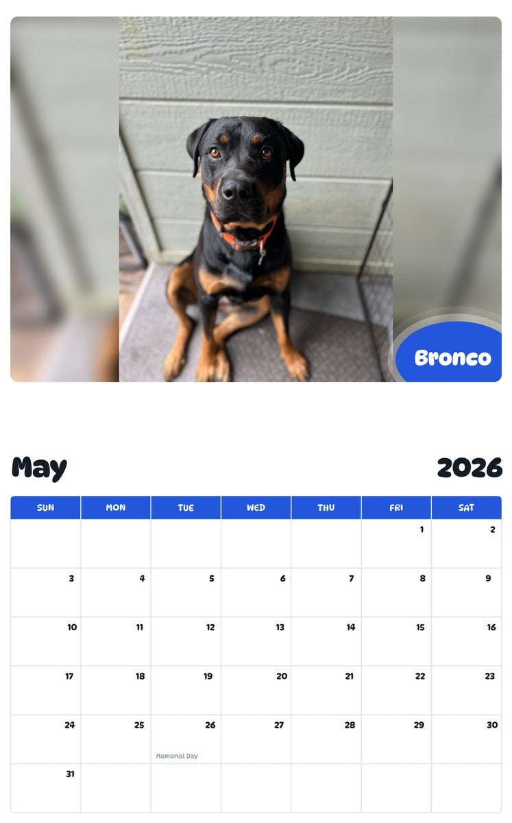 2026 - 2027 Bronco - Pawidols Pet Calendar