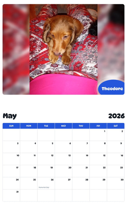 2026 - 2027 Theodore - Pawidols Pet Calendar