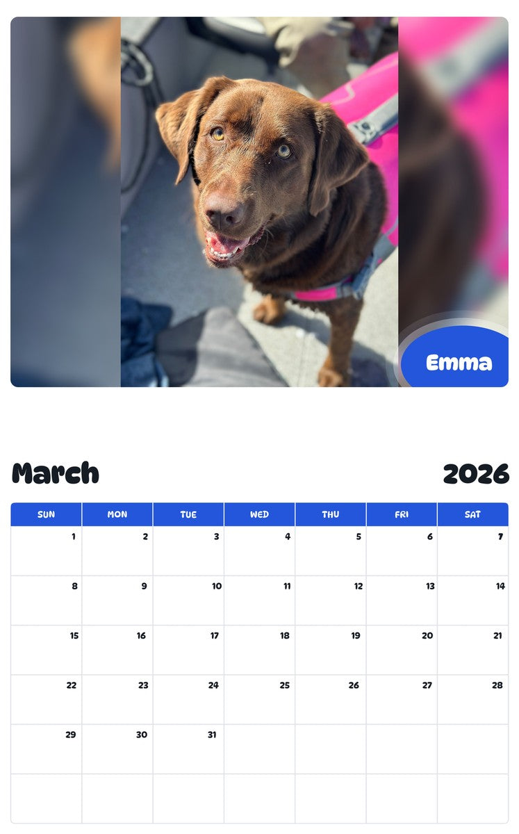 November 2025 - October 2026 Emma - Pawidols Pet Calendar