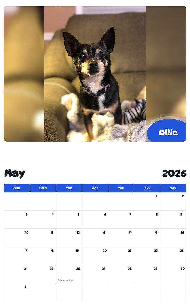 2026 - 2027 Ollie - Pawidols Pet Calendar