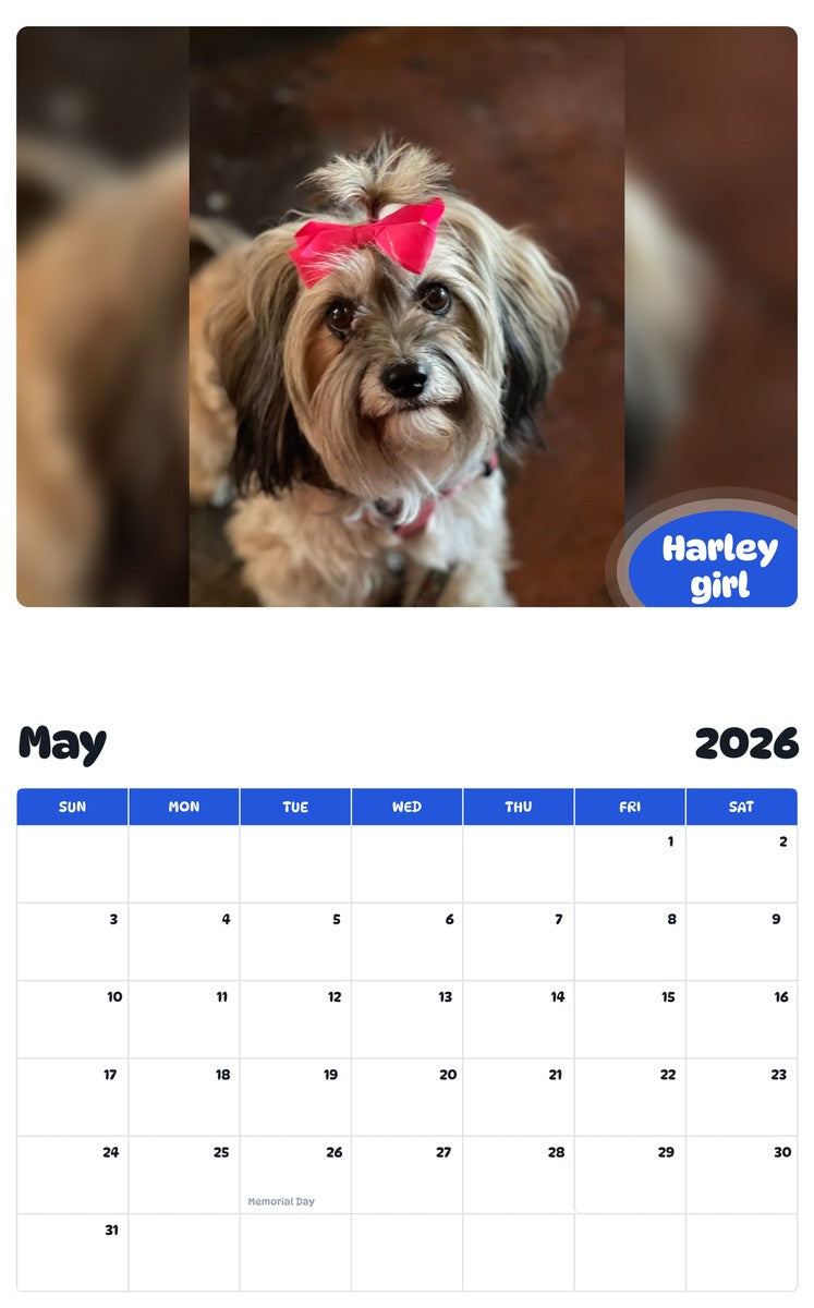 2026 - 2027 Harley girl - Pawidols Pet Calendar