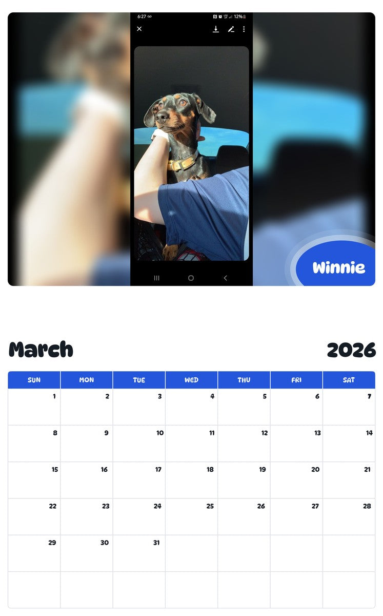 November 2025 - October 2026 Winnie - Pawidols Pet Calendar