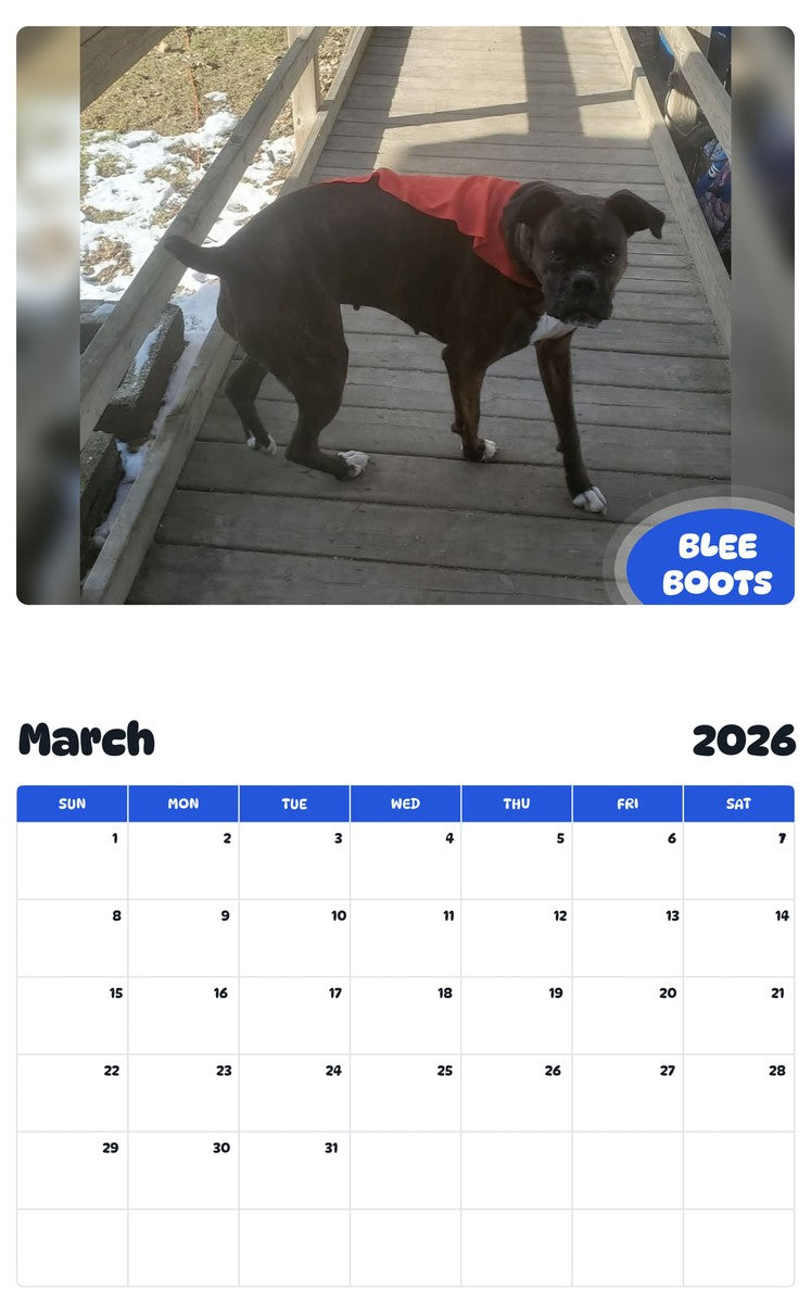 November 2025 - October 2026 BLEE BOOTS - Pawidols Pet Calendar