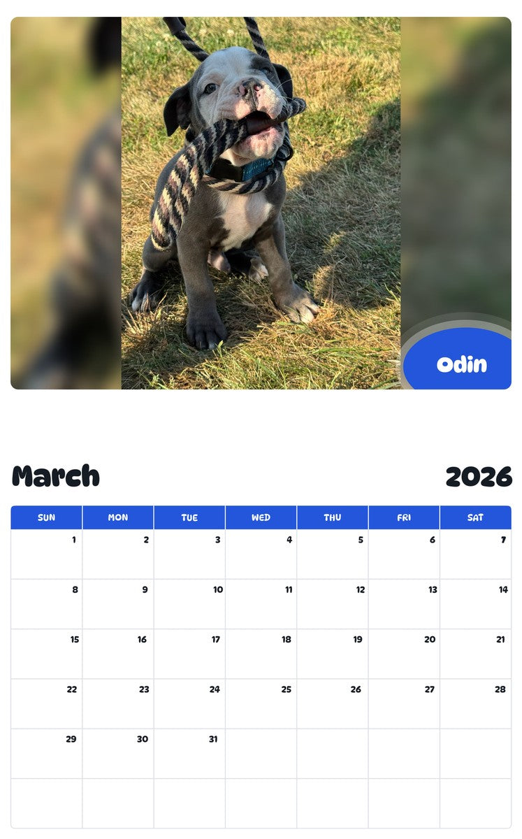 November 2025 - October 2026 Odin - Pawidols Pet Calendar