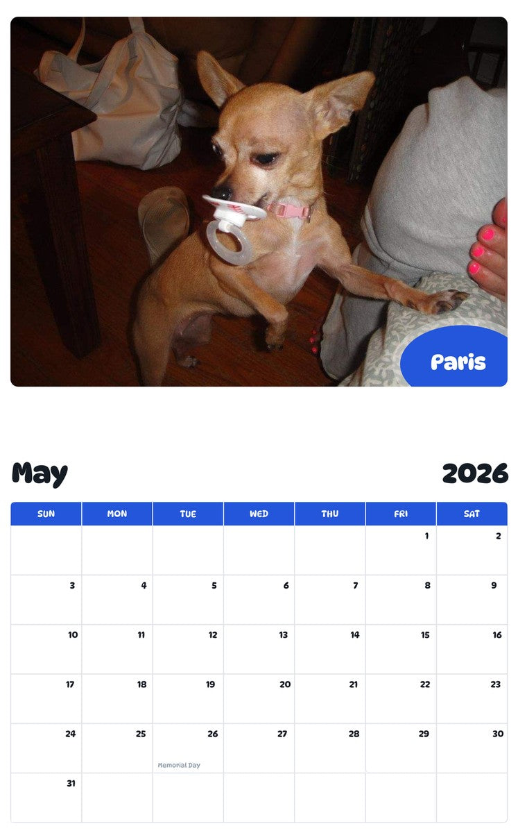 2026 - 2027 Paris - Pawidols Pet Calendar