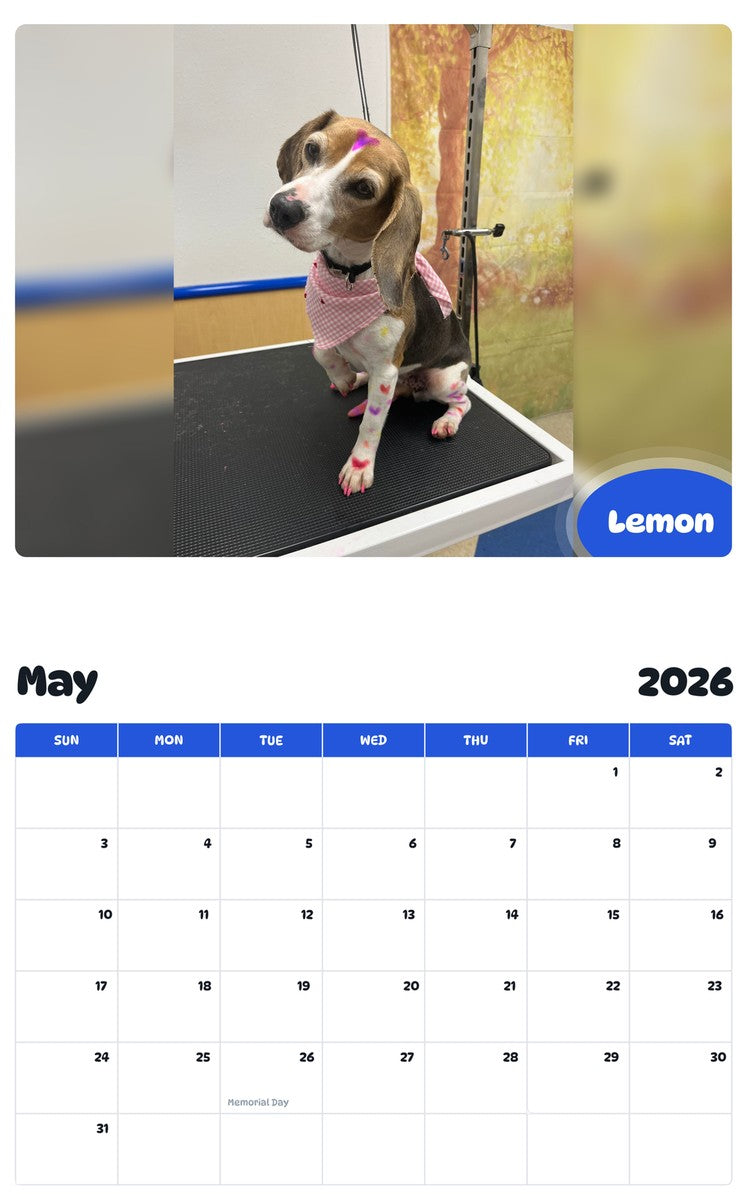 2026 - 2027 Lemon - Pawidols Pet Calendar
