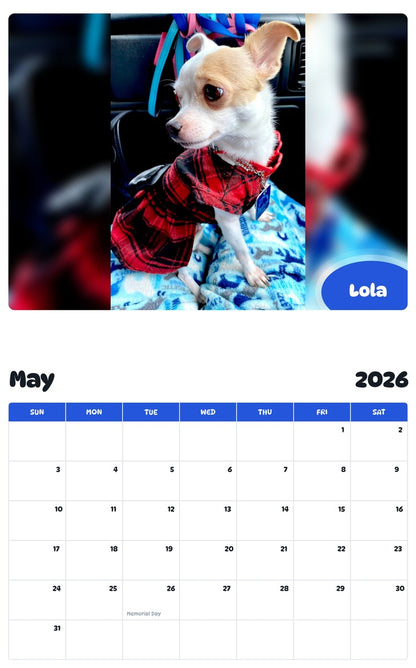 2026 - 2027 Lola - Pawidols Pet Calendar