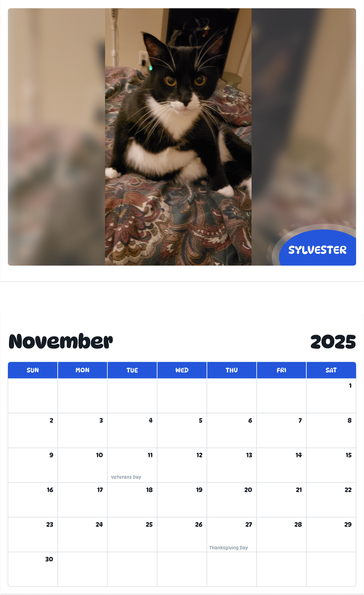 July 2025 - June 2026 Sylvester - Pawidols Pet Calendar