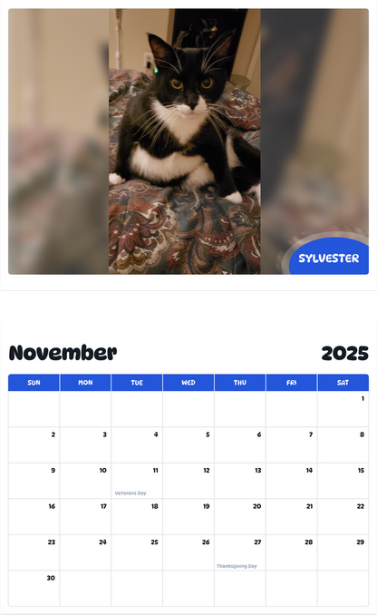 July 2025 - June 2026 Sylvester - Pawidols Pet Calendar