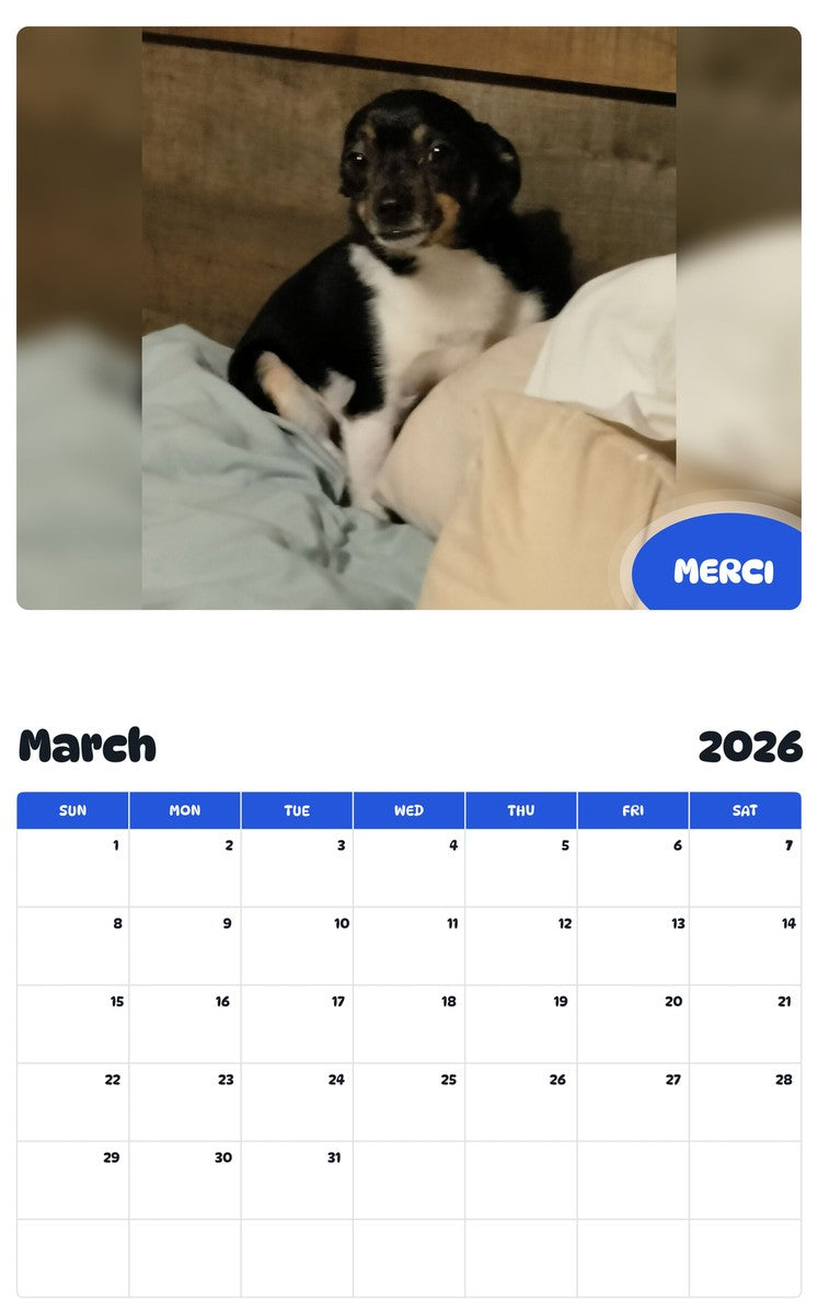 November 2025 - October 2026 MERCI - Pawidols Pet Calendar